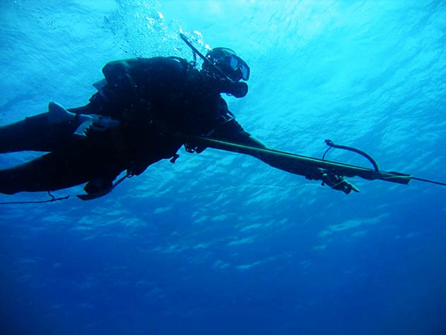 Как выбрать арбалет для подводной охоты