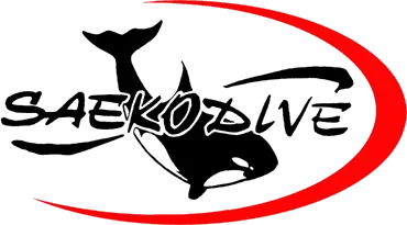 Saekodive