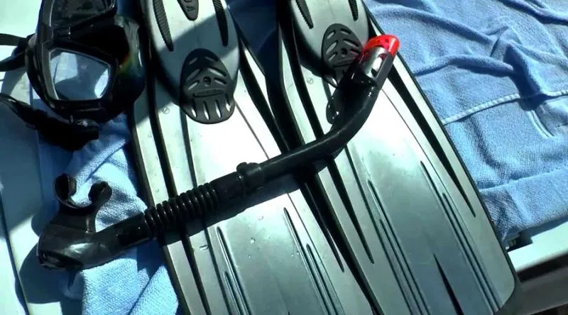 Как выбрать ласты для плавания на море?